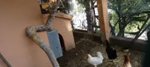 Casa de 5 dormitorios en El Campello, Spain No. 176937 18