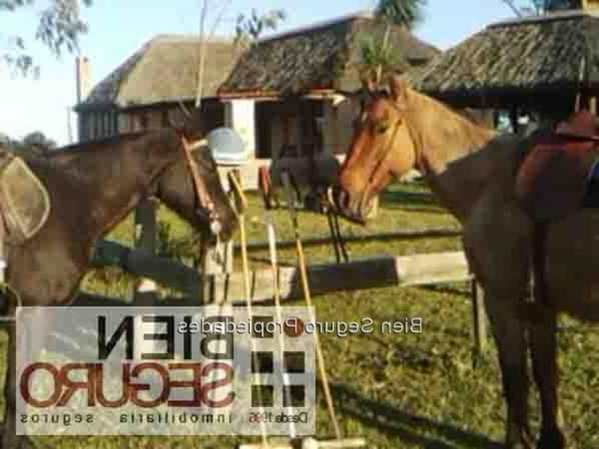 Casa de 3 dormitorios en Canelones, Uruguay No. 12072