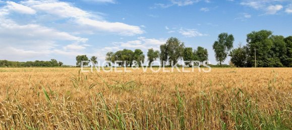 8 rooms Villa in Ferrara, Italy No. 105162 11