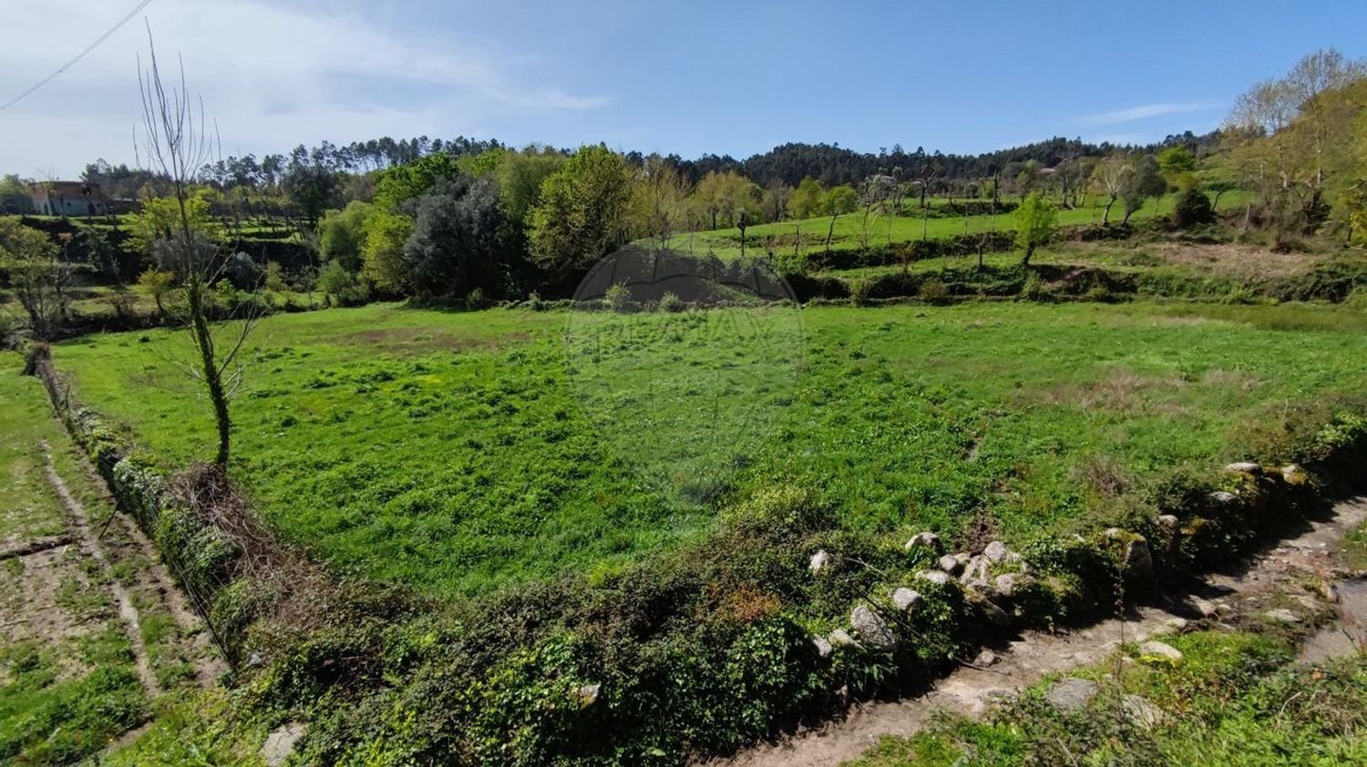 3440m² Land in Valdreu, Portugal No. 85280