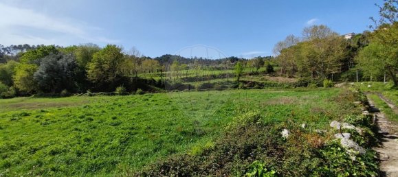 3440m² Land in Valdreu, Portugal No. 85280 5