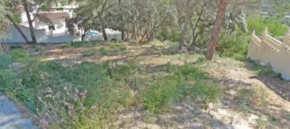  Land in Alcalali, Spain No. 103314 4