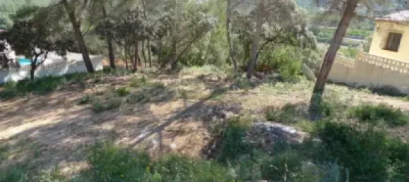  Land in Alcalali, Spain No. 103314 3