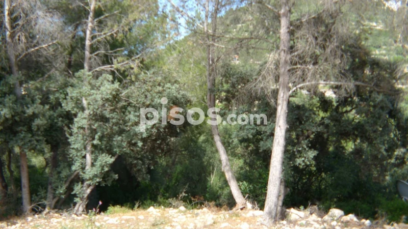  Land in Alcalali, Spain No. 103314