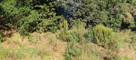 3 rooms Apartment in Deiva Marina, Italy No. 265179 6