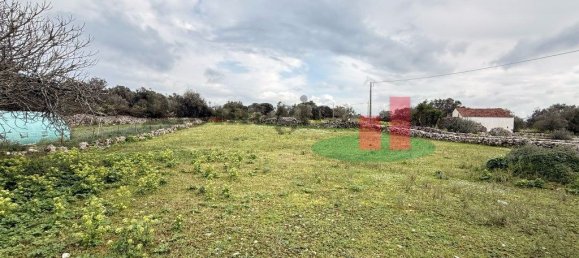 2 bedrooms House in Alcobertas, Portugal No. 86210 5