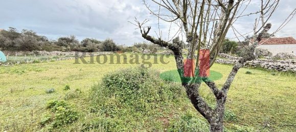 2 bedrooms House in Alcobertas, Portugal No. 86210 11