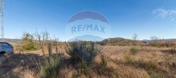 Terrain à Caria, Portugal 24060m² No. 67988 12