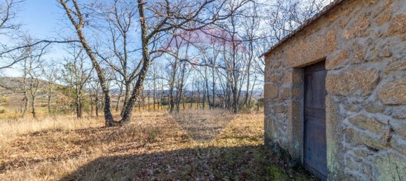 Terrain à Caria, Portugal 24060m² No. 67988 6