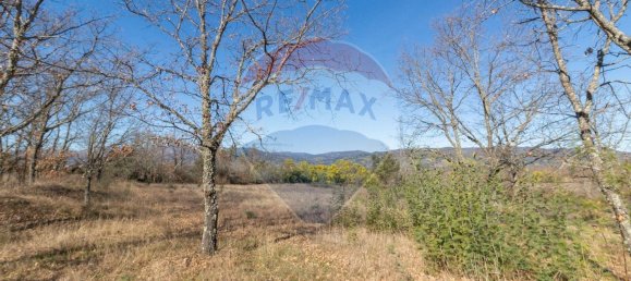 Terrain à Caria, Portugal 24060m² No. 67988 20