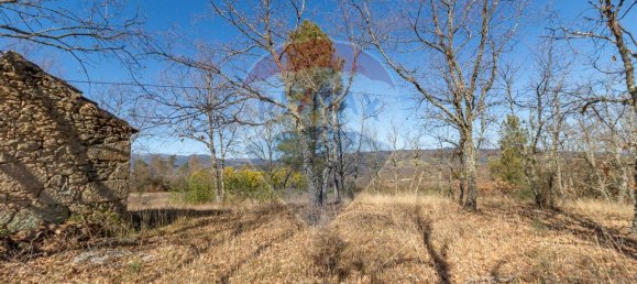 Terrain à Caria, Portugal 24060m² No. 67988 5