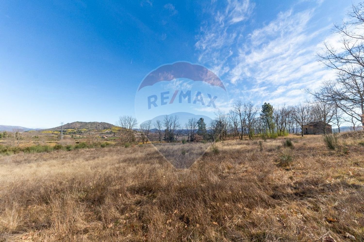 Terrain à Caria, Portugal 24060m² No. 67988