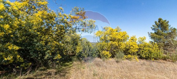 Terrain à Caria, Portugal 24060m² No. 67988 7