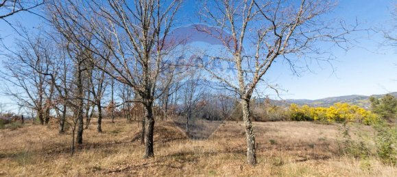 Terrain à Caria, Portugal 24060m² No. 67988 2