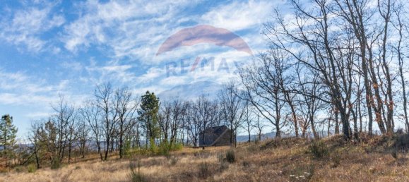 Terrain à Caria, Portugal 24060m² No. 67988 17