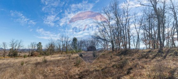 Terrain à Caria, Portugal 24060m² No. 67988 18