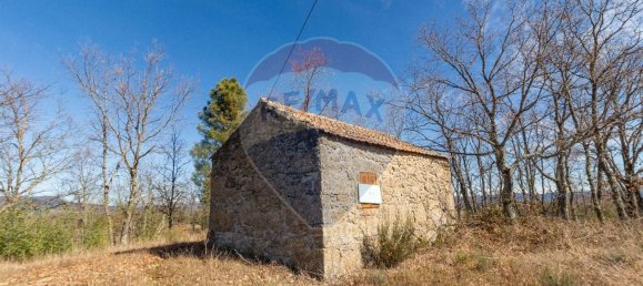 Terrain à Caria, Portugal 24060m² No. 67988 16