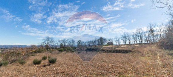 Terrain à Caria, Portugal 24060m² No. 67988 10