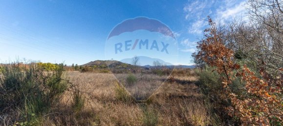 Terrain à Caria, Portugal 24060m² No. 67988 14