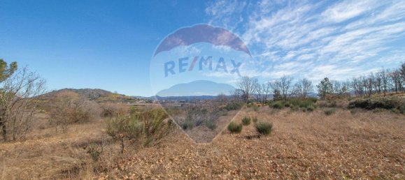 Terrain à Caria, Portugal 24060m² No. 67988 8