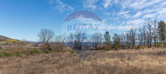 Terrain à Caria, Portugal 24060m² No. 67988 13