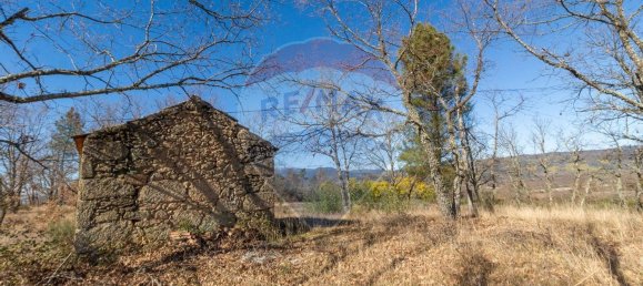 Terrain à Caria, Portugal 24060m² No. 67988 4