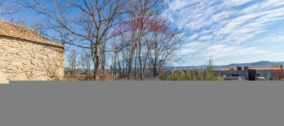 Terrain à Caria, Portugal 24060m² No. 67988 15