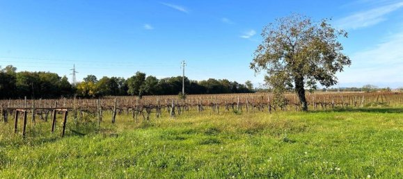 6غرفة منزل في Udine, Italy رقم 81643 17