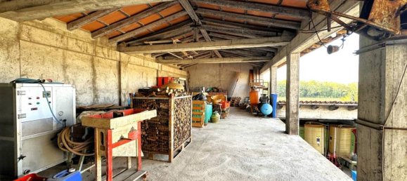 6غرفة منزل في Udine, Italy رقم 81643 45