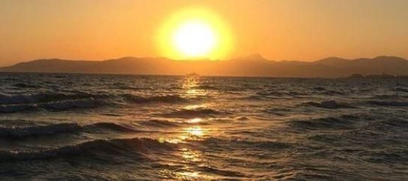 1 chambre Appartement à Palma de Majorca, Spain No. 167559 3