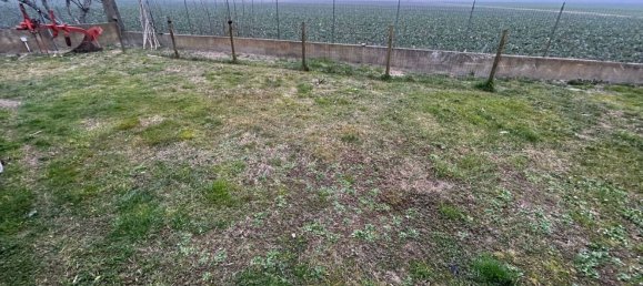 4 rooms Villa in Mirandola, Italy No. 268847 8