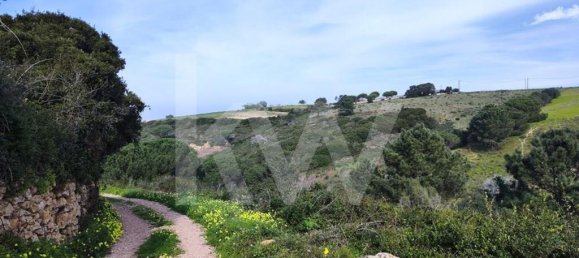 Grundstück in Mafra, Portugal 2250m², Nr. 64246 17