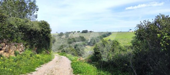 Grundstück in Mafra, Portugal 2250m², Nr. 64246 7