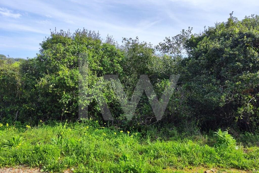 Grundstück in Mafra, Portugal 2250m², Nr. 64246