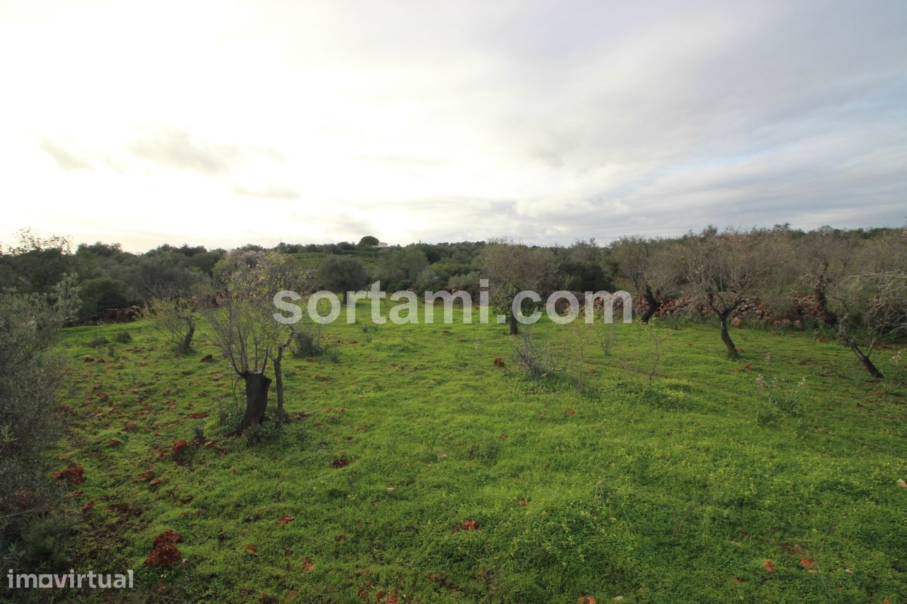 9200m² Land in Sao Bartolomeu de Messines, Portugal No. 80187