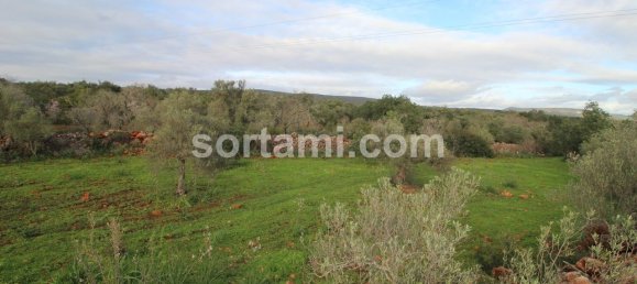 9200m² Land in Sao Bartolomeu de Messines, Portugal No. 80187 3