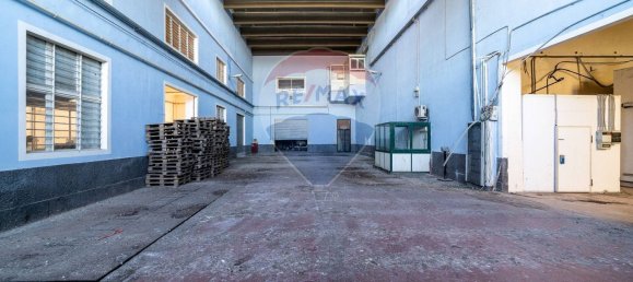 Propiedad comercial en Paternò, Italy 1300 m² No. 109529 3