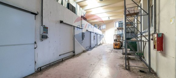 Propiedad comercial en Paternò, Italy 1300 m² No. 109529 5