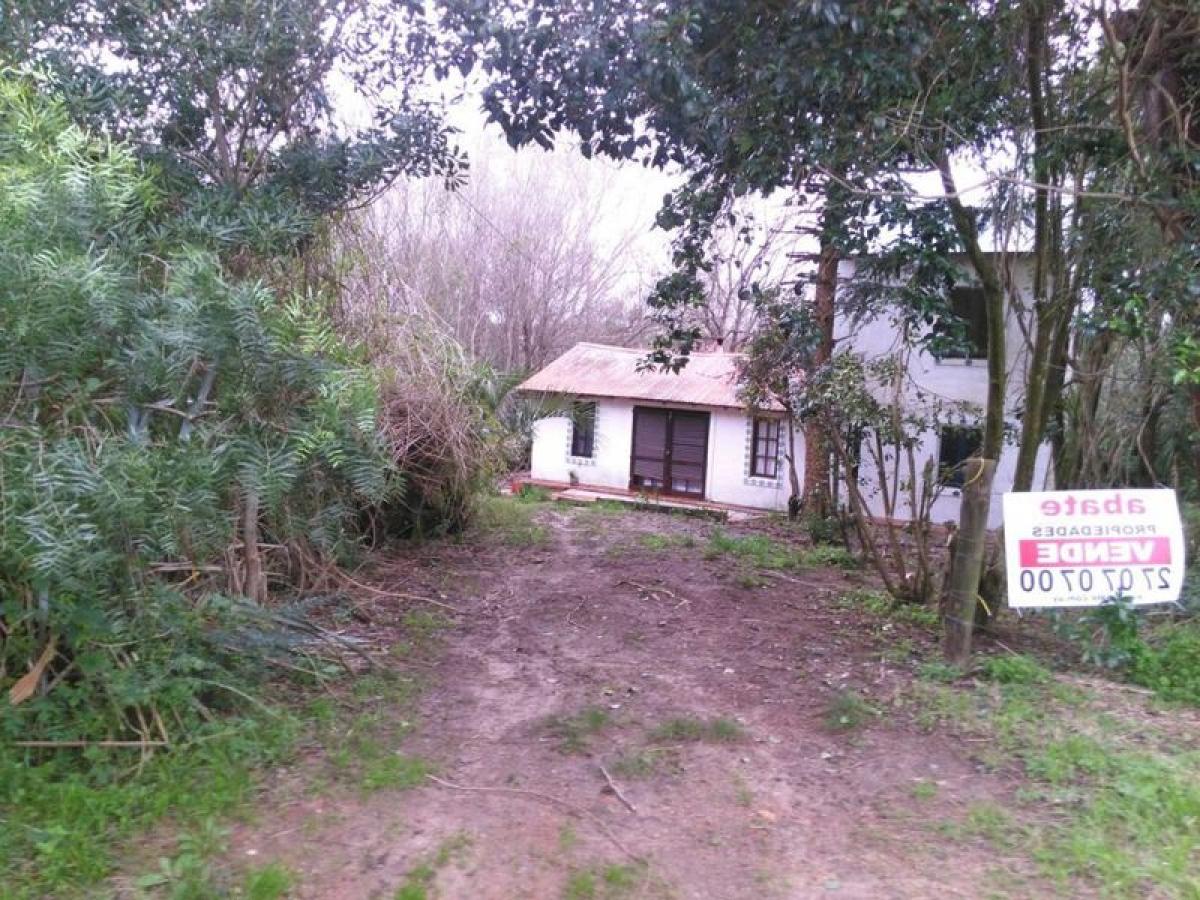 2 bedrooms House in Maldonado, Uruguay No. 6685