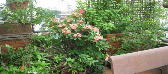 Apartamento de 1 dormitorio en Hoan Kiem, Vietnam No. 6687 10