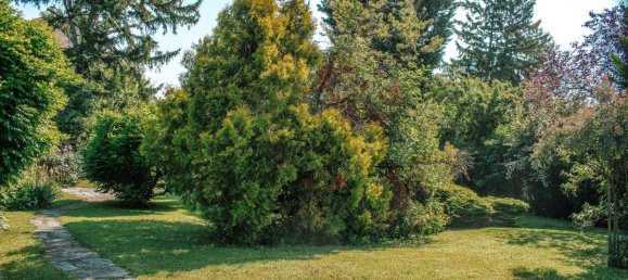 9 rooms Villa in Perchtoldsdorf, Austria No. 167870 12