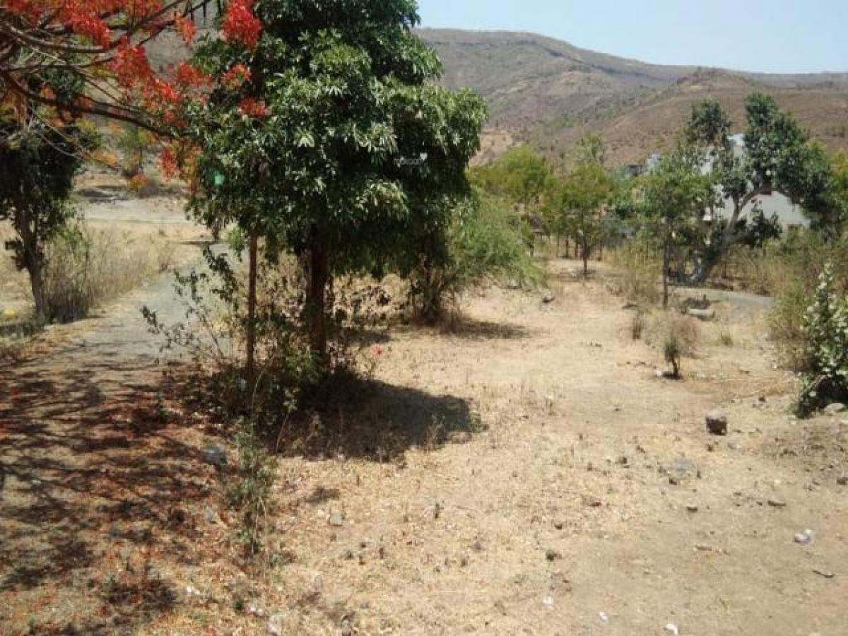  Land in Pune, India No. 36794