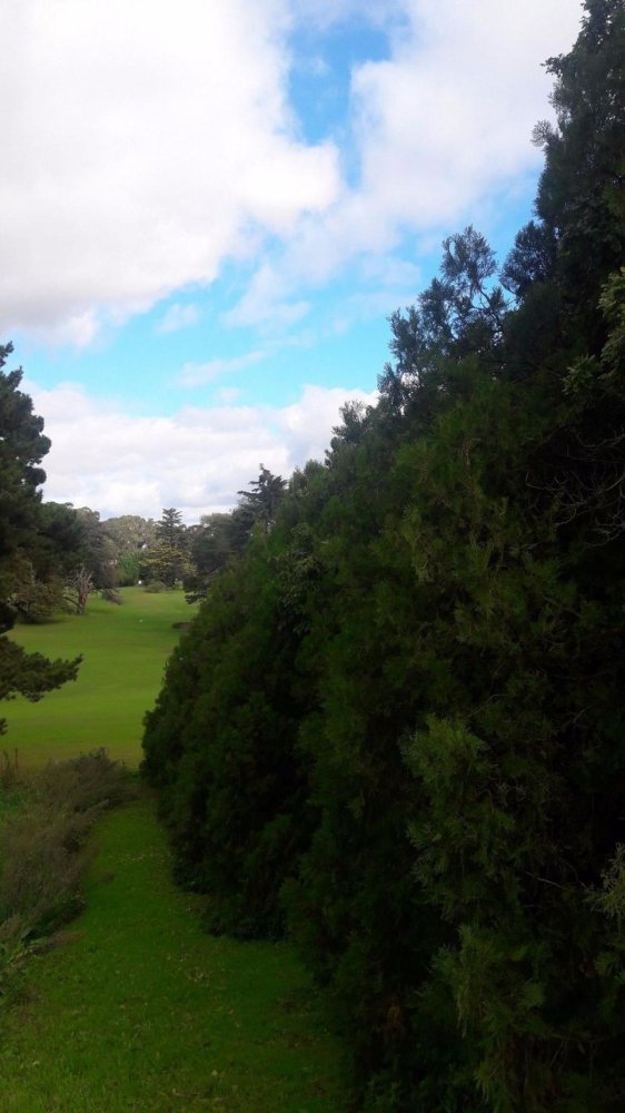  Land in Mar del Plata, Argentina No. 115946