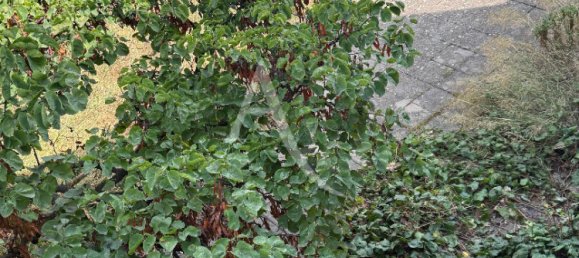 5 bedrooms House in Vauvert, France No. 354322 4