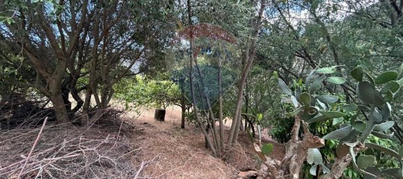 4 rooms House in Sinnai, Italy No. 18624 4