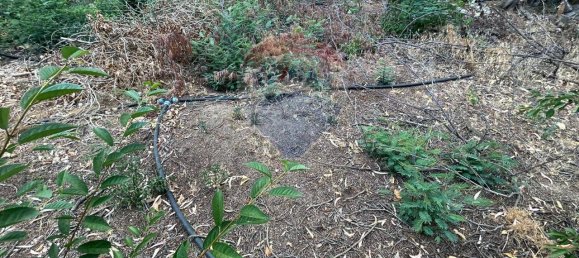 4 rooms House in Sinnai, Italy No. 18624 10