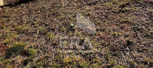 414m² Land in Tarare, France No. 200118 4