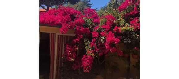 5 Schlafzimmer Haus in Cascais, Portugal, Nr. 113546 16