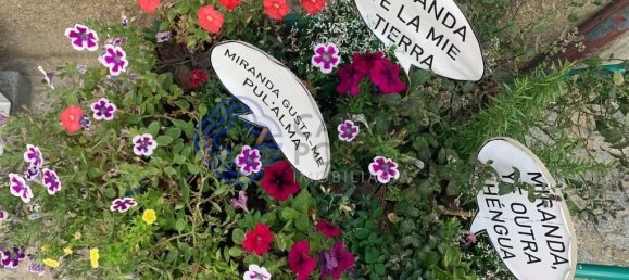 148m² Land in Miranda do Douro, Portugal No. 87992 16