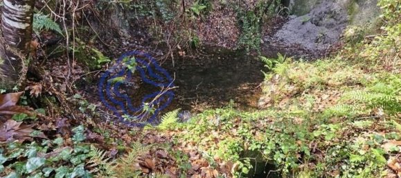 30550m² Land in Amarante, Portugal No. 56639 15